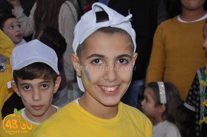 karnazvala ayffa (3).JPG